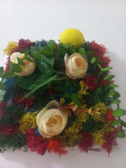 Vând și amenajări