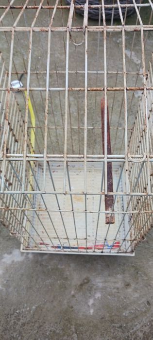 Vind cușcă papagali micul  Alexander