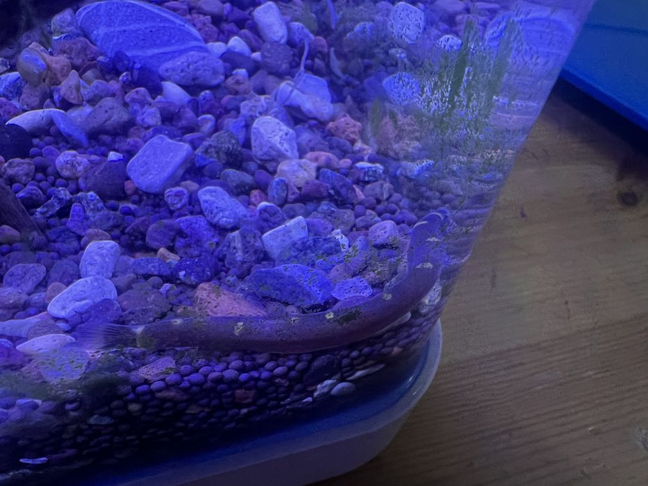 Аквариум 70 л, полный комплект