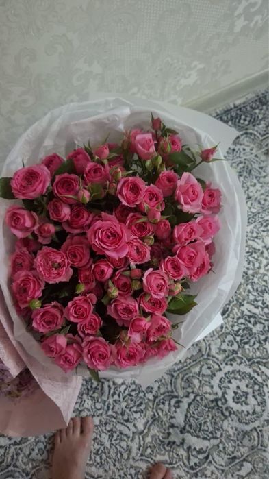 Продаю цветы срочно