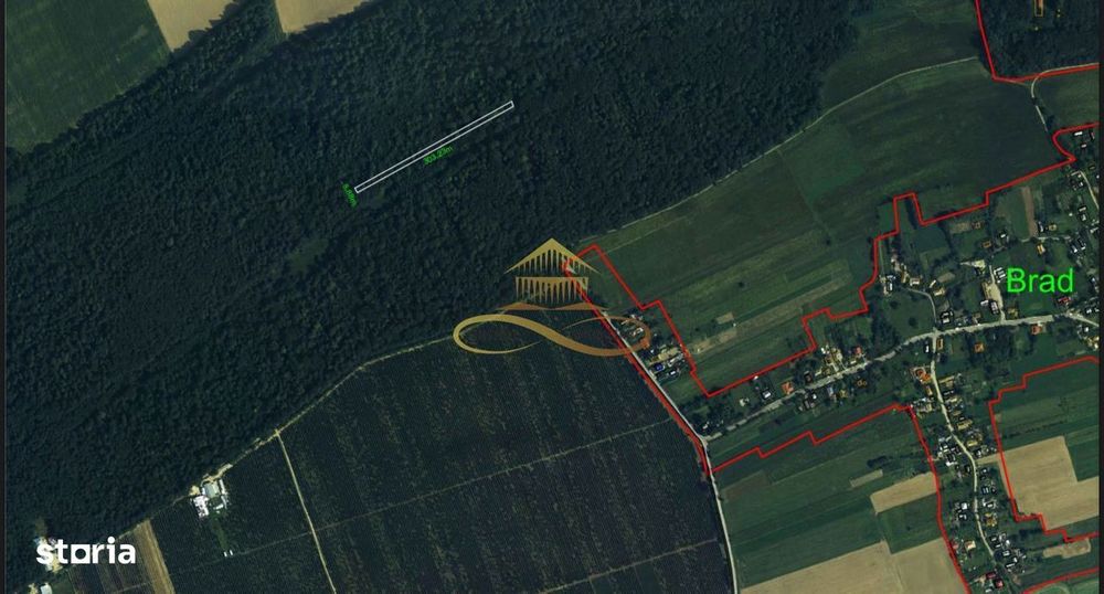 Teren extravilan - Padure de vanzare in Beresti Bistrita