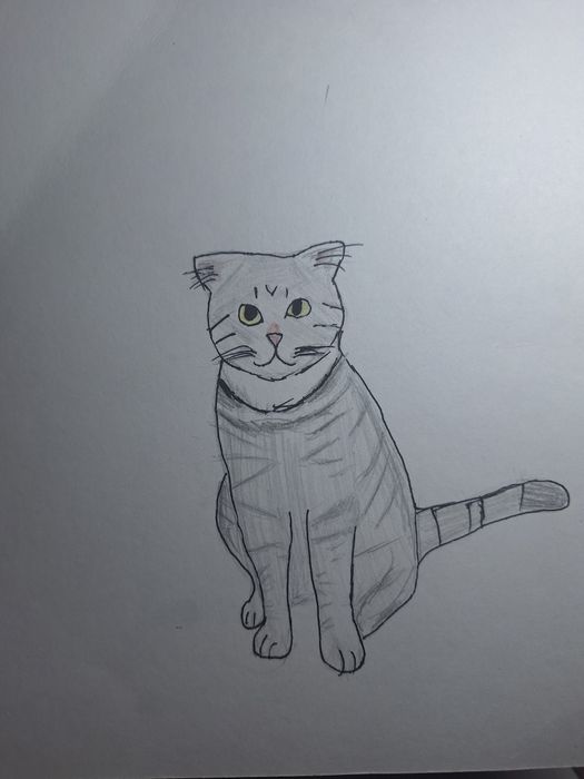 Рисую ваших питомцев