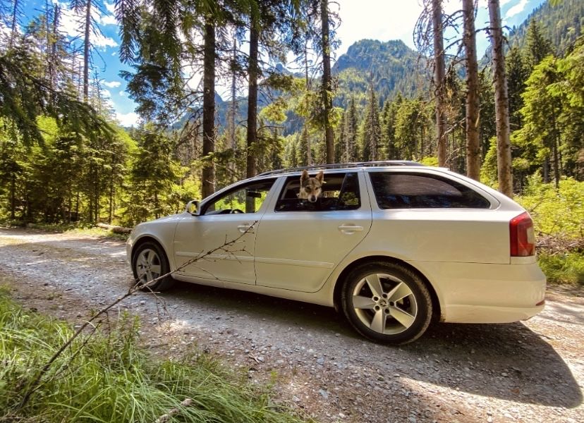 Skoda Octavia 2 facelift DSG 2.0 140 cai