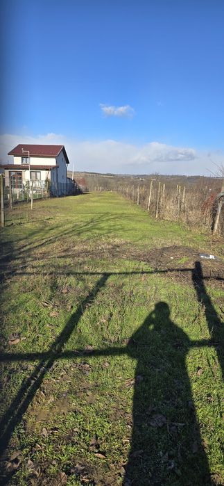 Vand / inchiriez  teren intravilan sat Pleasa 2500m²