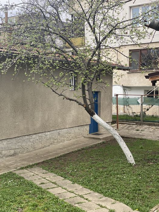 Дава под наем самостоятелен етаж от къща 50кв.м