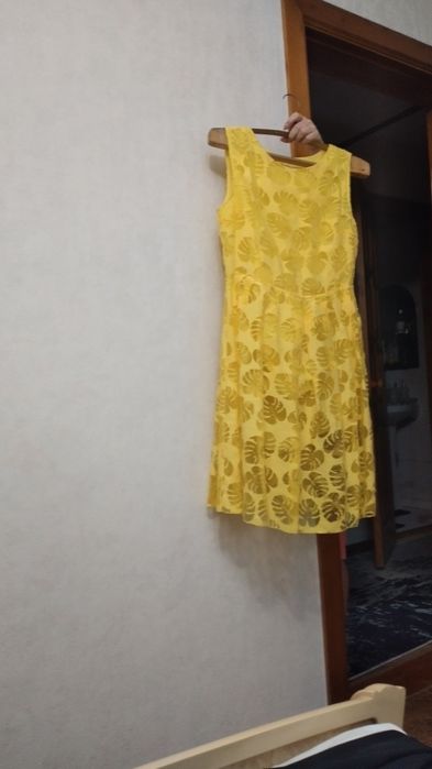 Женская одежда. Платье, пиджак