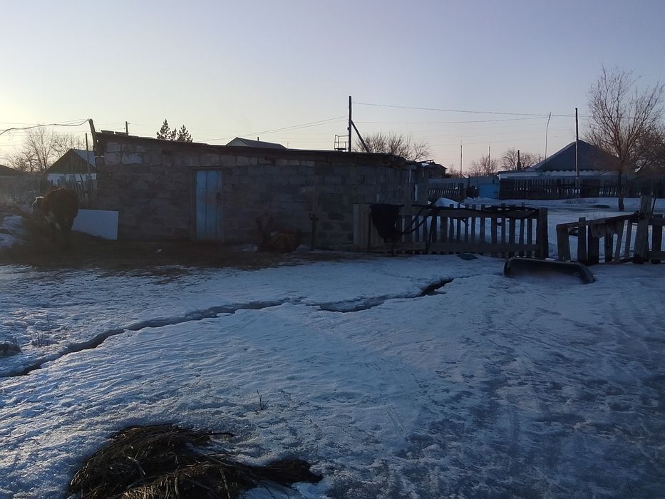 Карабаста уй сатылады