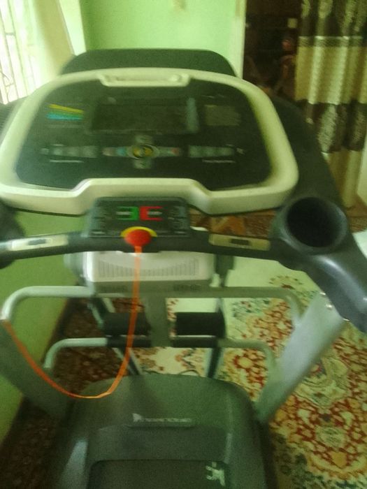 Бегавой дарошка холати зор