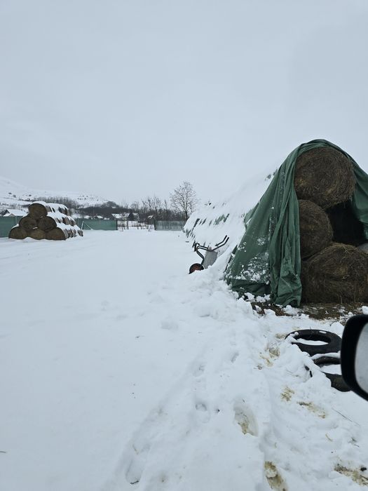 Vand baloti lucerna 120x120