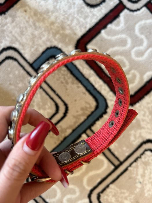 Ошейник, для собак