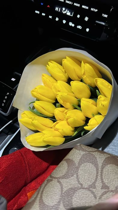 Тюльпан оптом 650