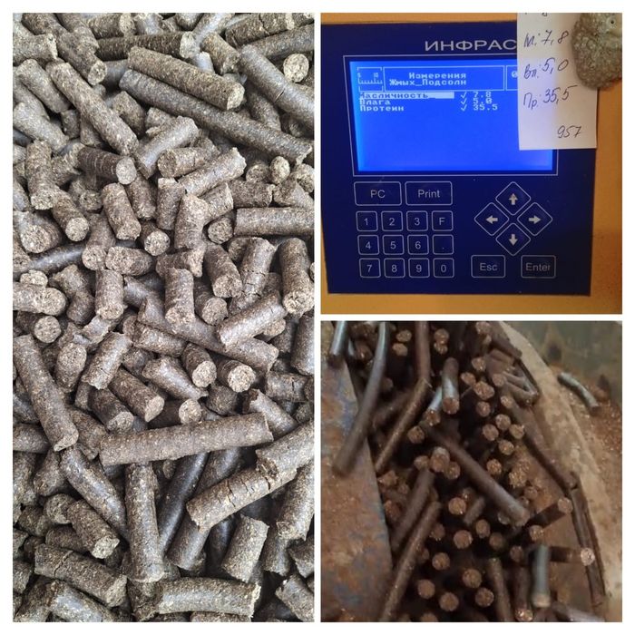 Ячмень! Платный чат! Все корма.