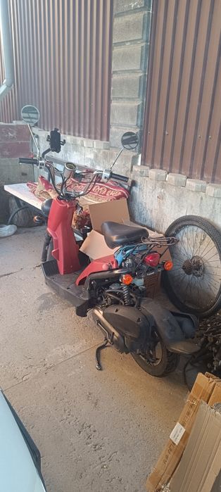 Хонда Зумер Honda Zoomer.