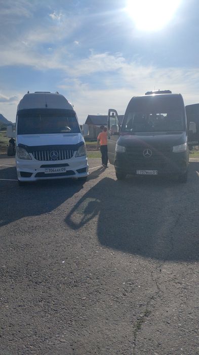 Пассажирские перевозки