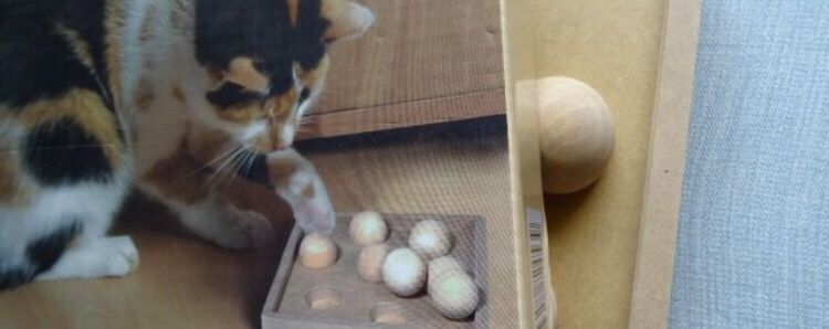 Интелигентна котешка играчка