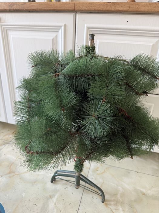 Елка сатылады, елка продается