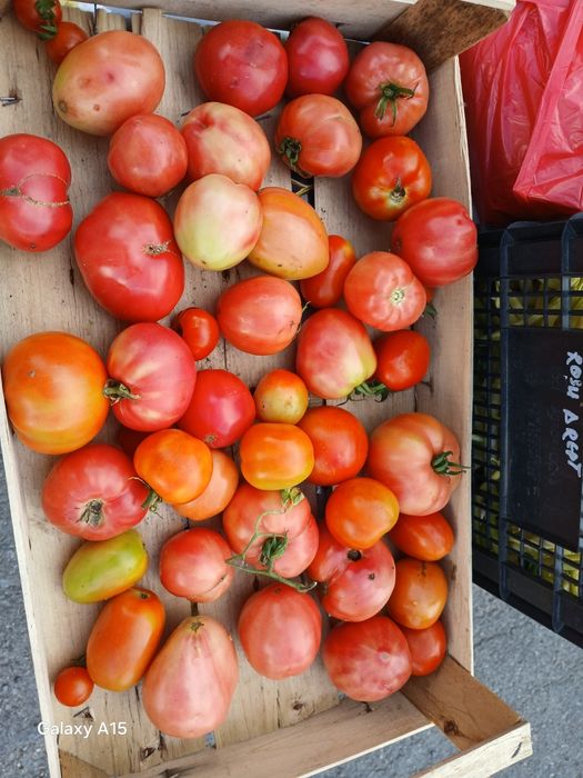 Vand legume  roși castraveti fasole
