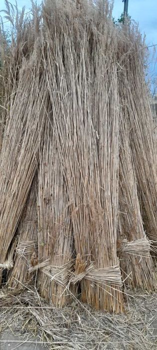 Stuf sortat grosimea 50-60