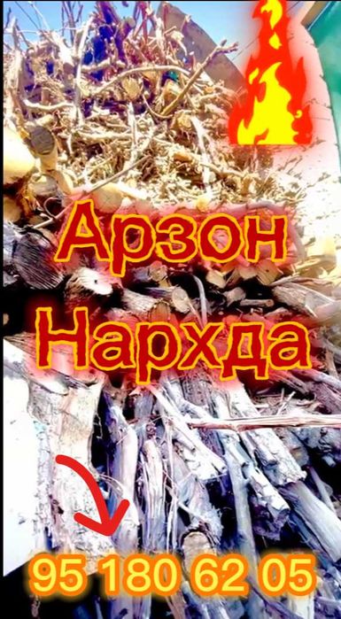 Мевали дарахт утинлари асотилади Продаются дрова фруктовых деревьев.
