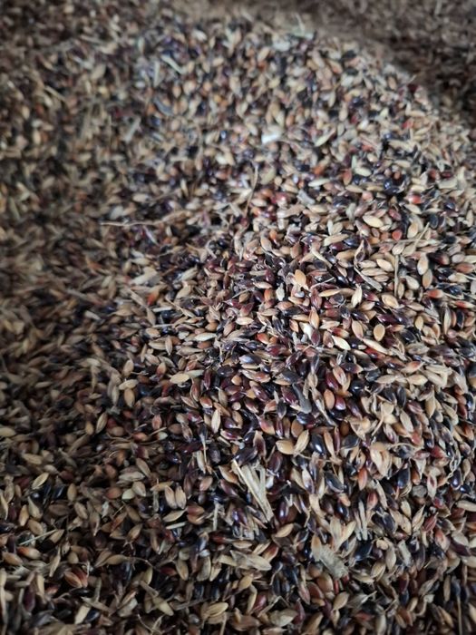 Sudan de vanzare preț bun