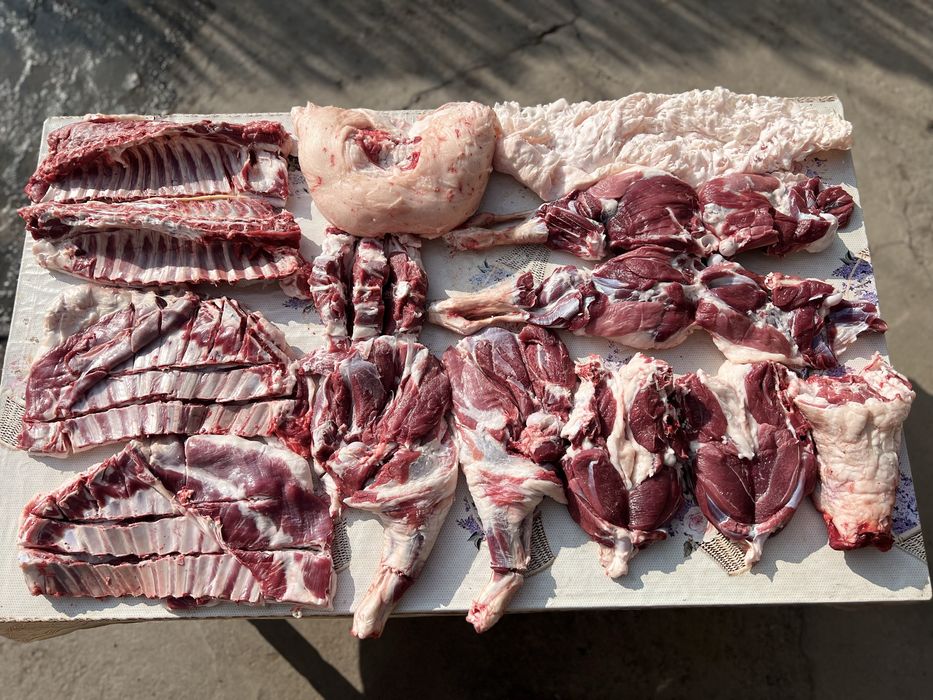 Тирик қўй, қассоб, тирик вазнига