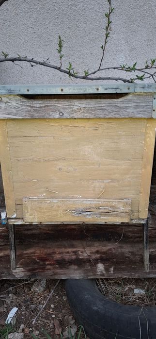 Vând lăzi de albine