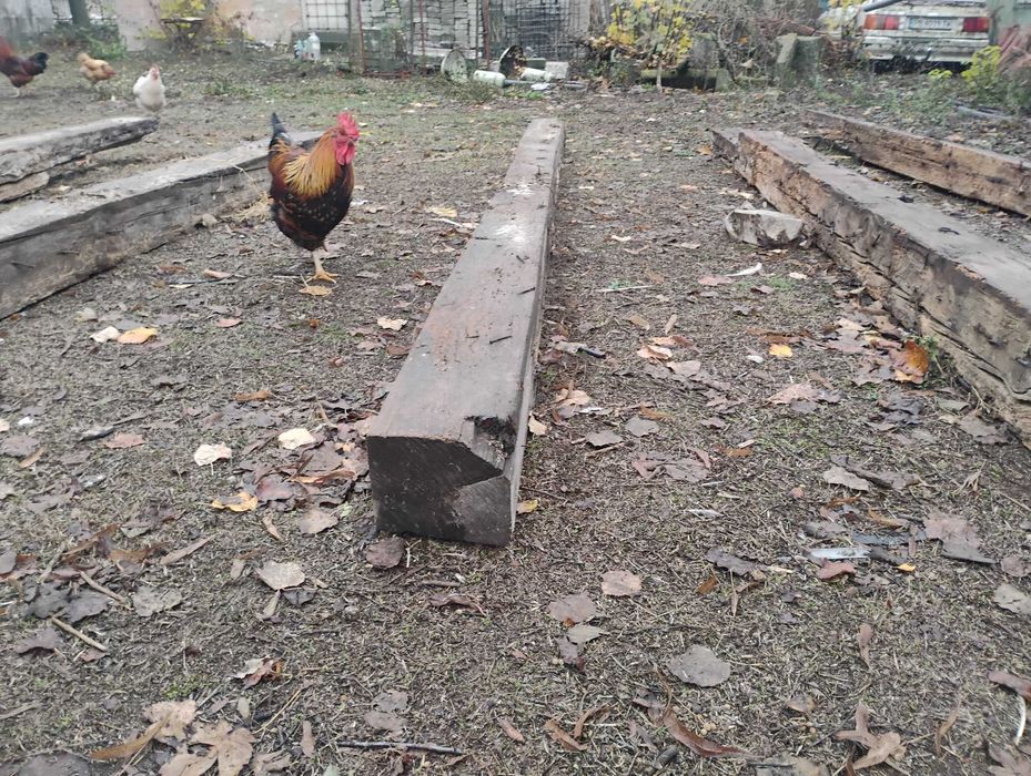 Дървени греди 20х20 см. 4 метра от 1908 година (много добро състояние)