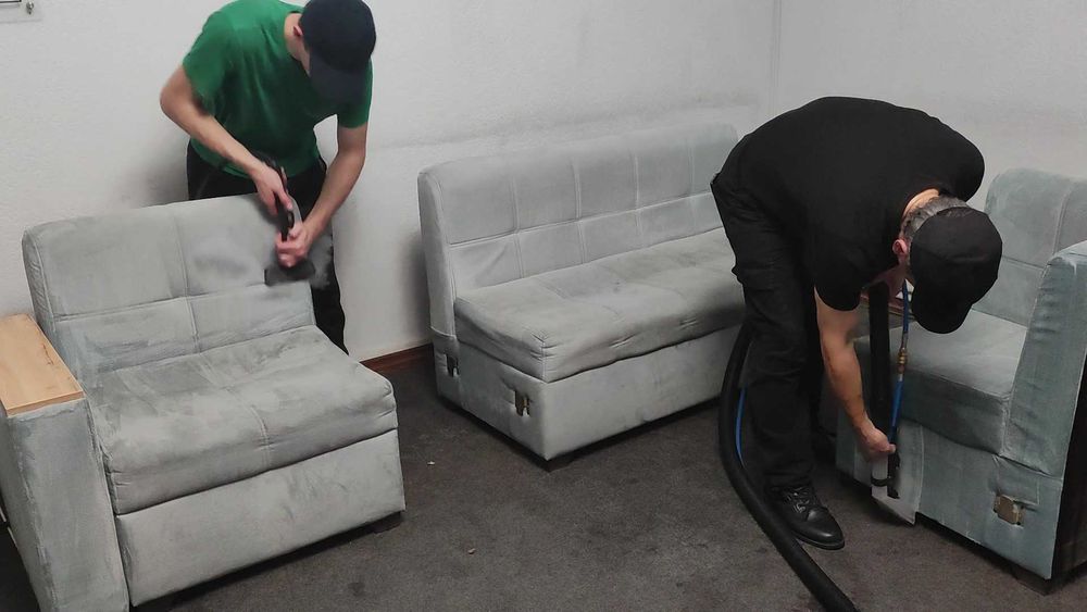 Шерсть, пятна и запахи от питомцев? Закажите Выездную Химчистку на дом