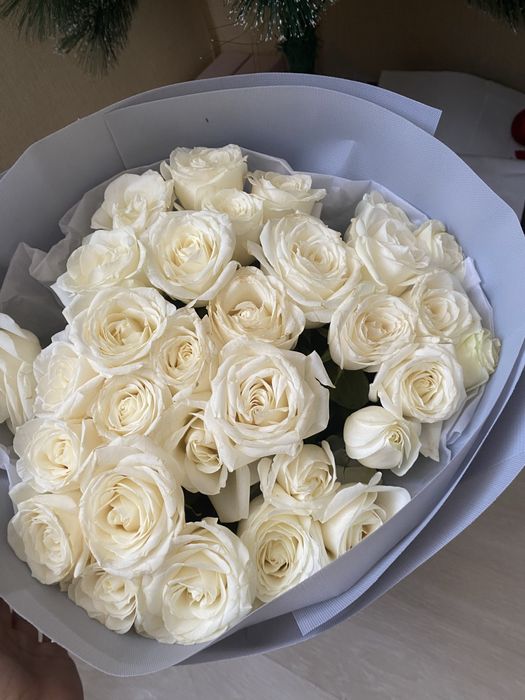 Цветы розы белые 31 штук