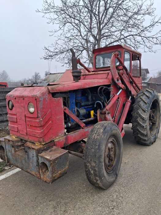 Vând ifron forestier