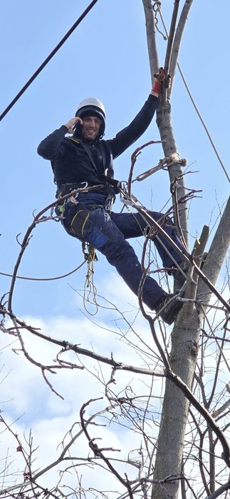 Alpinism Utilitar Ploiești | Termoizolații, Fațade, Constructii