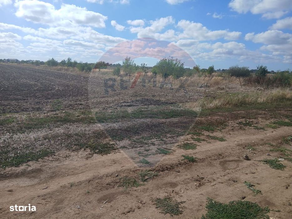 Teren de vanzare 4500mp Strada Rasaritului Darvari Ciorogarla A0