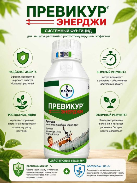 ПРЕВИКУР ЭНЕРДЖИ (PREVICUR ENERGY) — системный фунгицид Bayer
