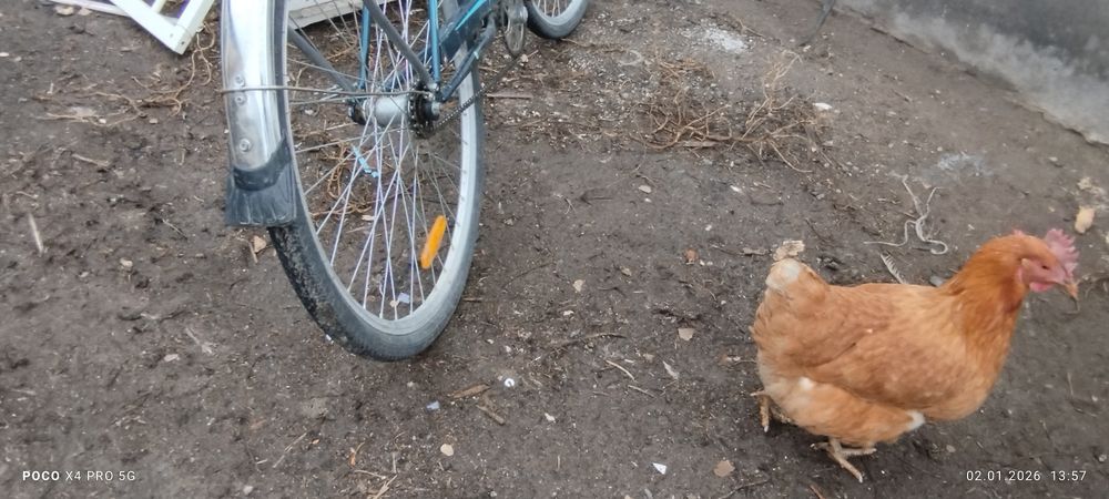 Продам велик  срочно