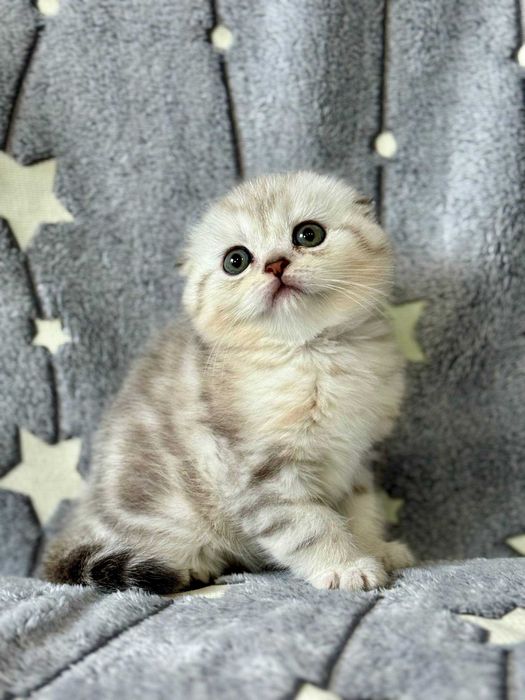 кукольная малышка