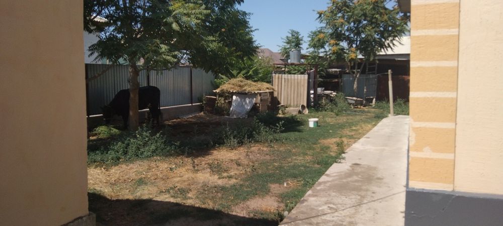 Сатыладыыыыыыыыыыы