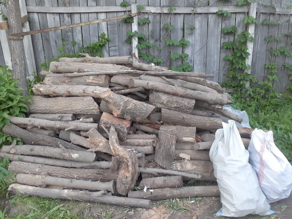 продам дрова для бани и мангала