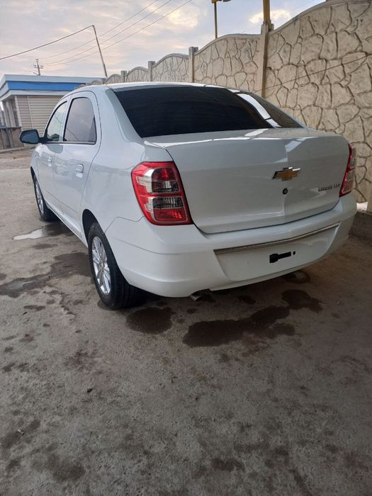 2024 metan kraska toza probek xalol