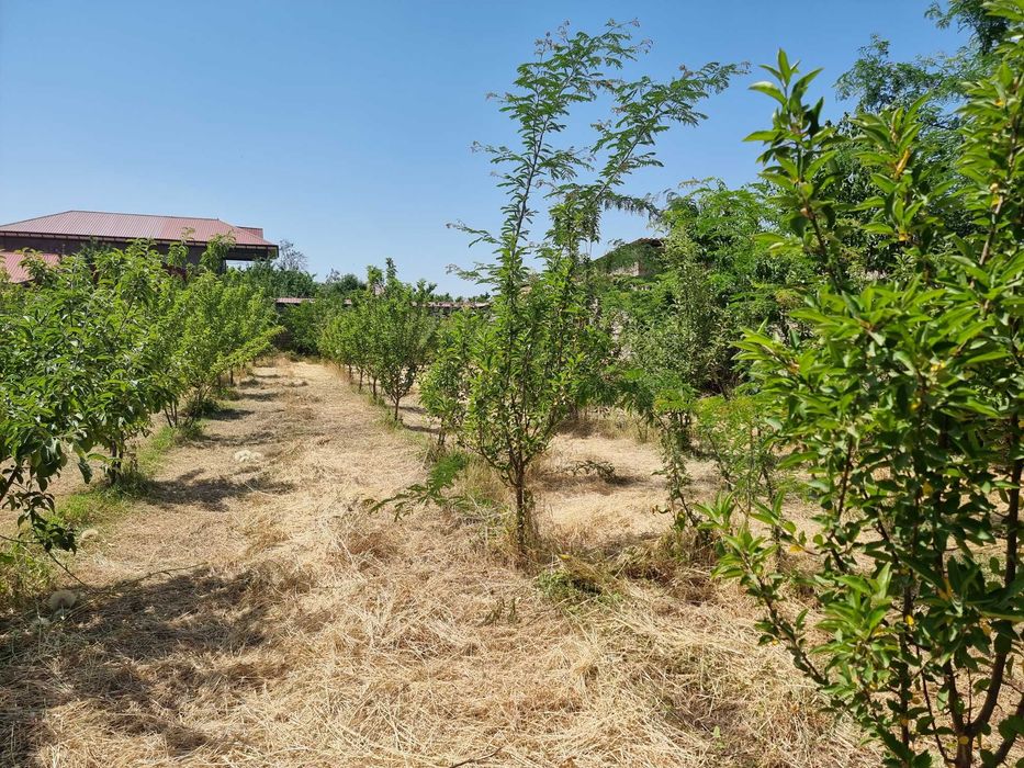 Продается участок 18 соток в Пскентском районе, Ташкентская область!