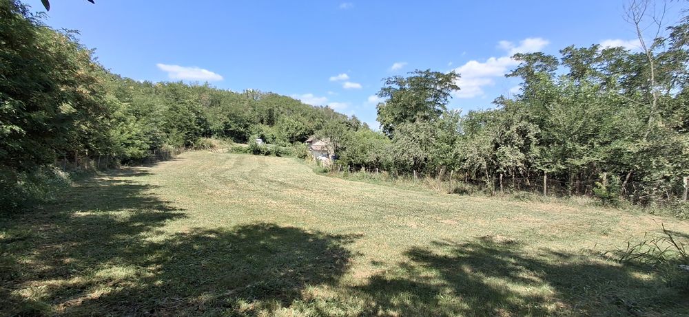 Teren intravilan ,zona linistita !