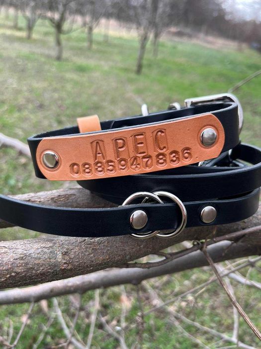 Нашийник- Класически Черен /безплатна табелка с име и телефон/