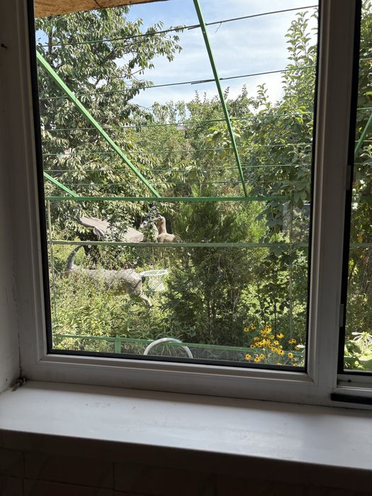 Сдам в долгосрочную аренду