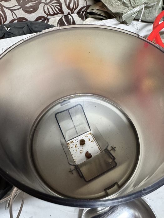 автокормушка для кошек