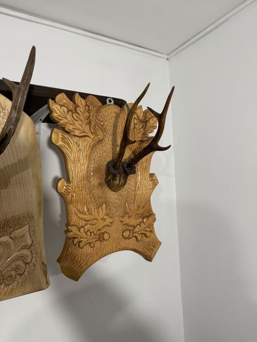 Panoplie diverse modele