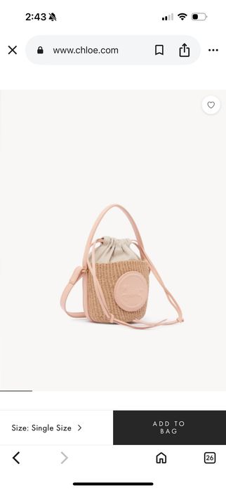 Мини чантичка кошница Chloe чанта