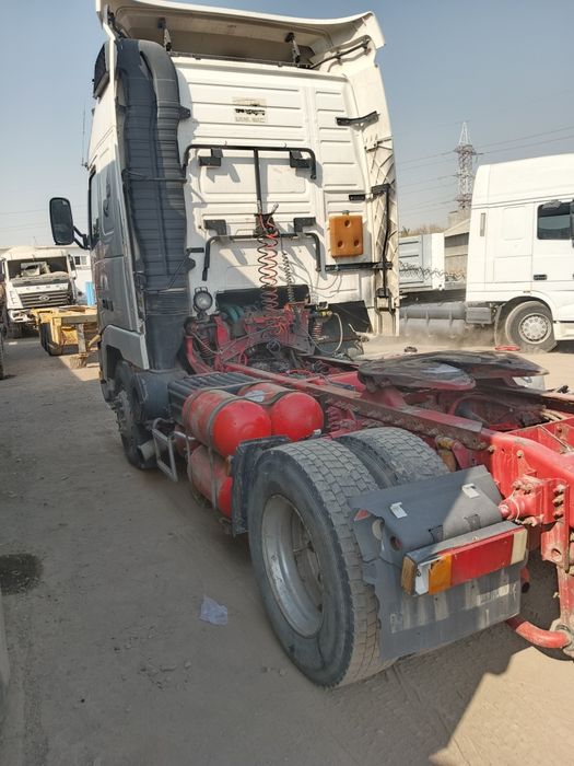 Волв тигач присеп кантеравоз ерон заватиской висата бермиди