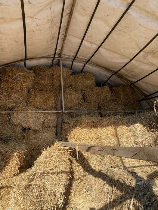 Vind baloți de iarbă si de paie