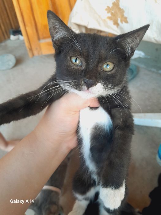 Onlayn uy qurilishi porno ona va ogil