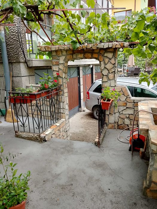 Всичко за вашия двор