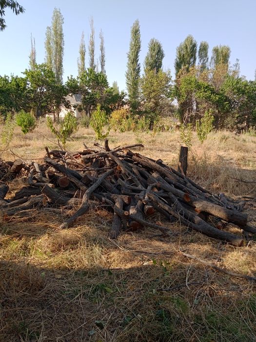 Утин бор сотилади